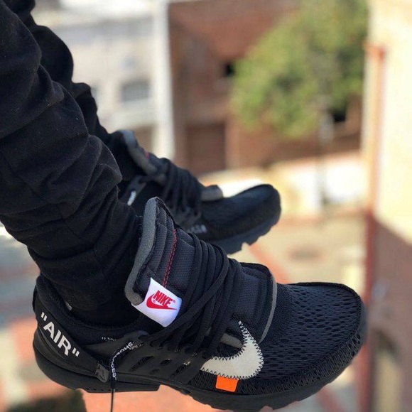 Meet your Posher, Dwight - Picture 1 of 1